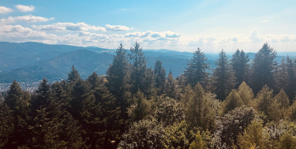 Wandern im Schwarzwald